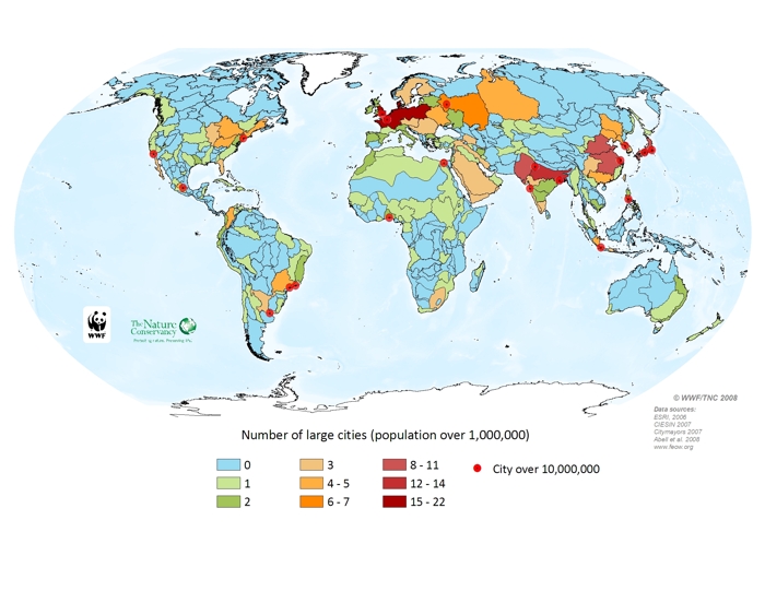 Large cities and megacities