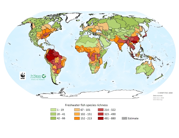 Freshwater fish species richness