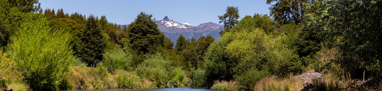 river meandering through a shallow valley