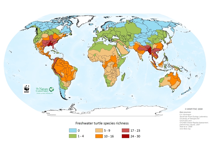 Freshwater turtle species richness