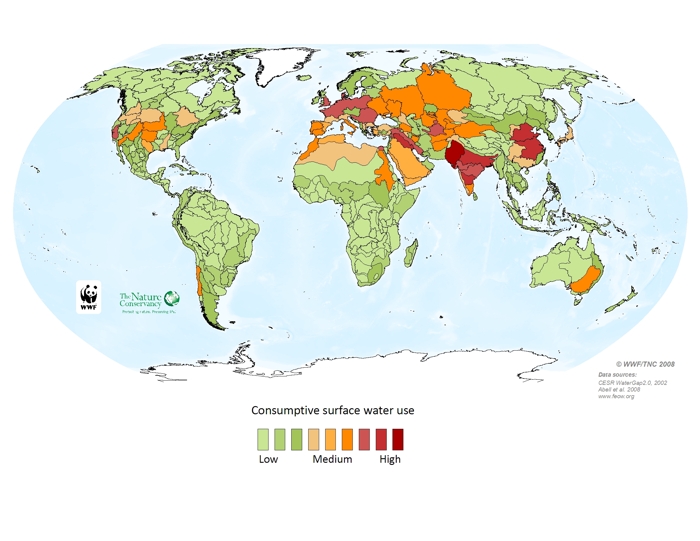 Consumptive surface water use